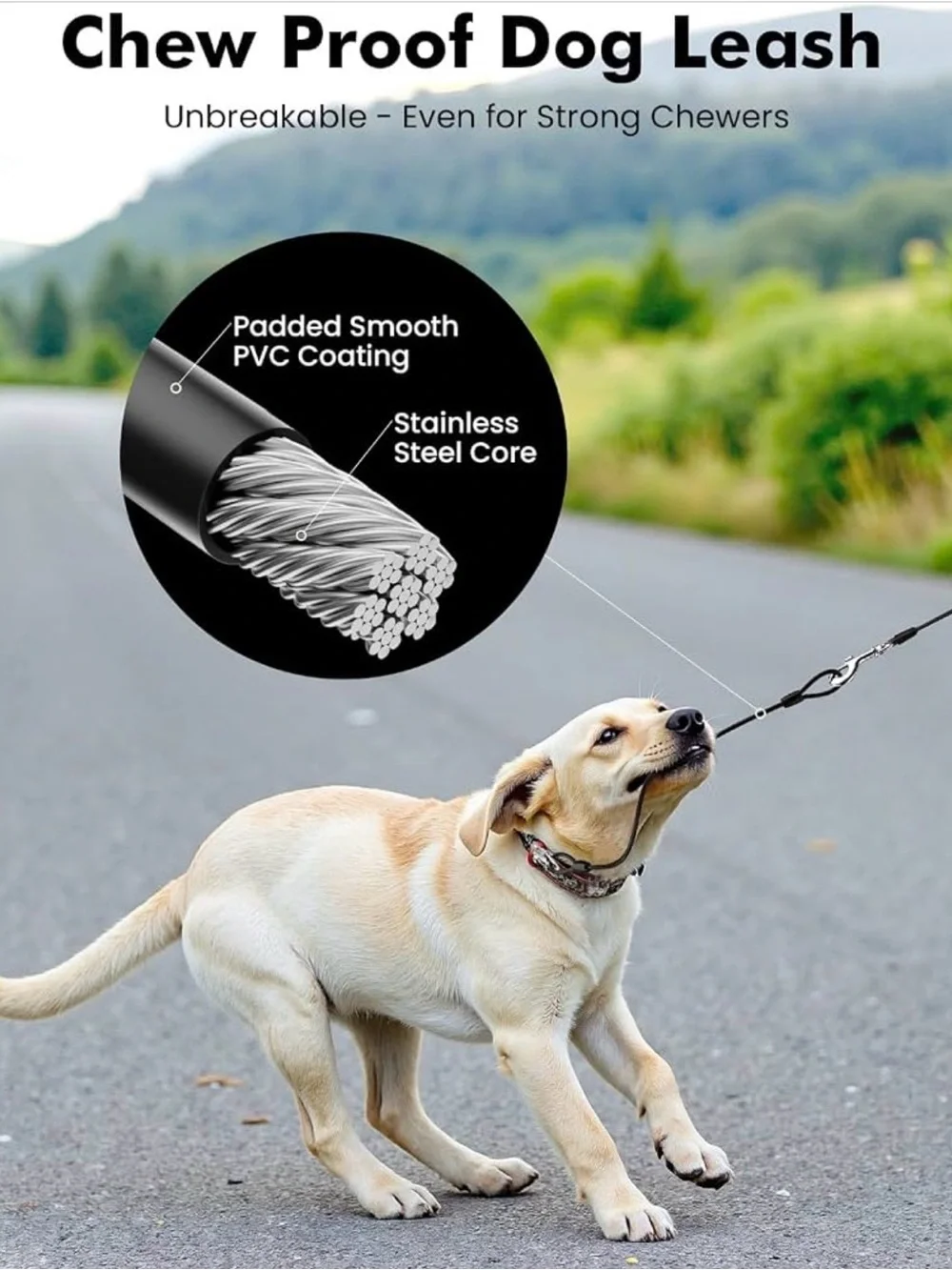 Pecute Dual Retractable Dog Leashes in Black